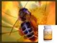 Forever Bee Pollen